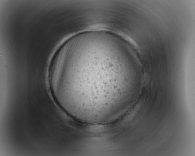 X0000093171470200710101203