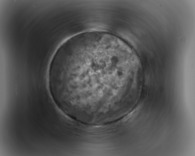 X0000093171471200710101203
