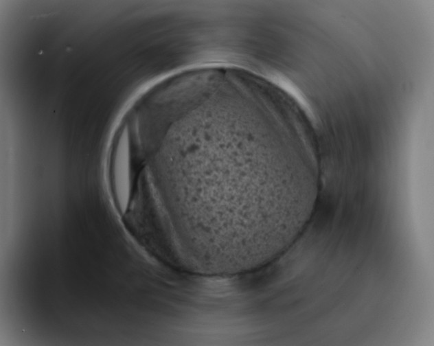 X0000093171472200710101203