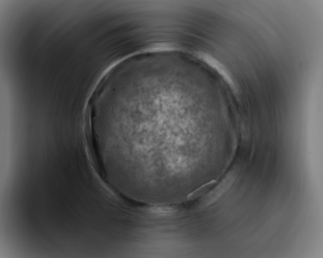 X0000093171473200710101203