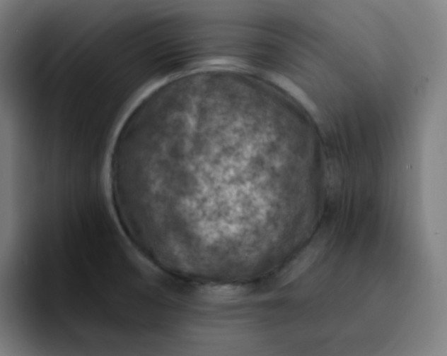 X0000093171474200710101203