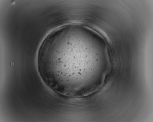 X0000093171475200710101203