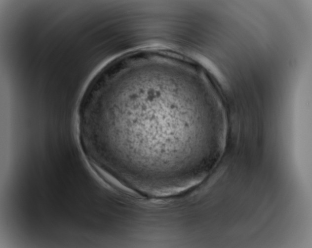 X0000093171476200710101203
