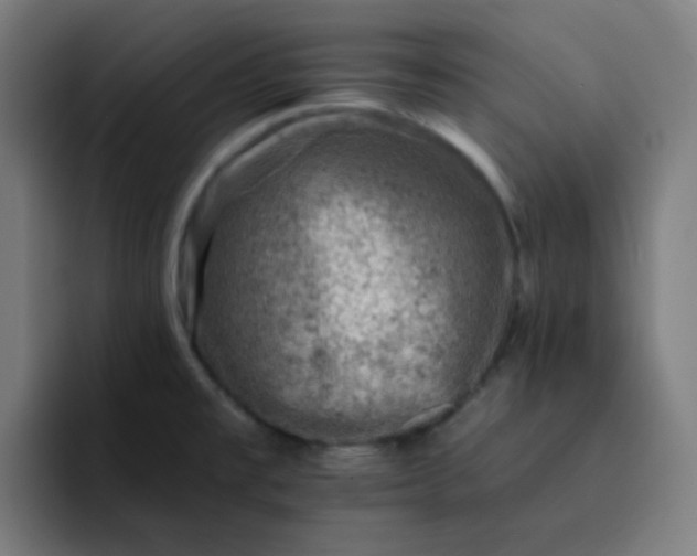 X0000093171477200710101203