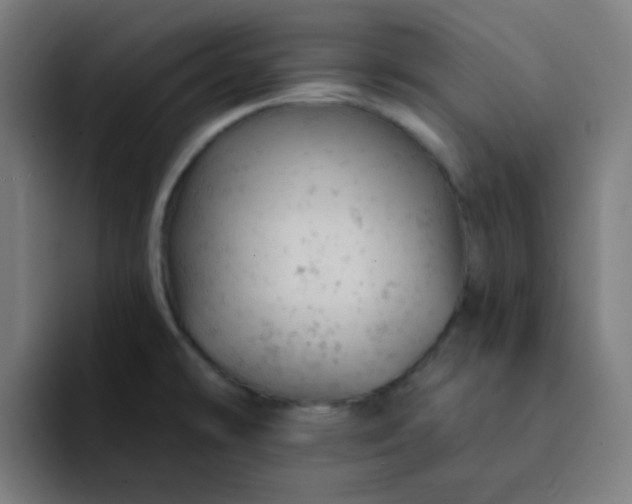 X0000093171478200710101203