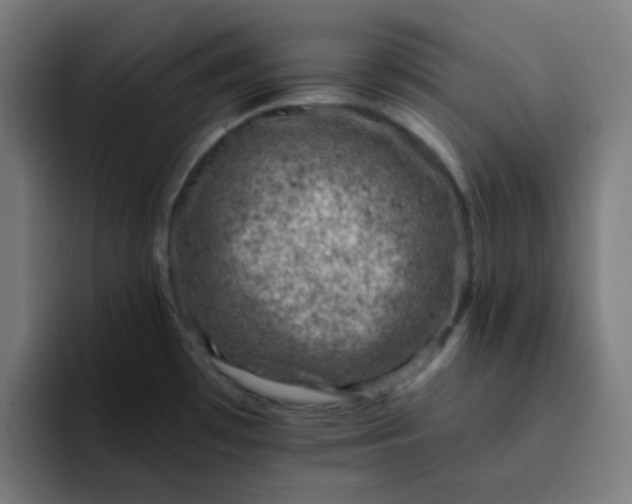 X0000093171481200710101203