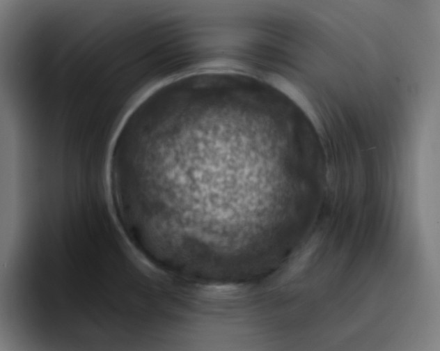 X0000093171482200710101203