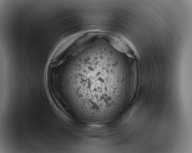 X0000093171483200710101203