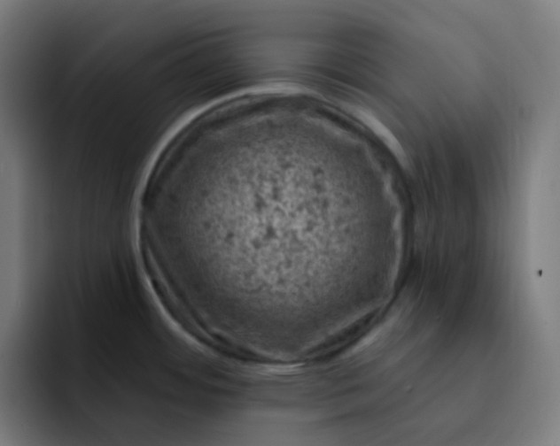X0000093171484200710101203