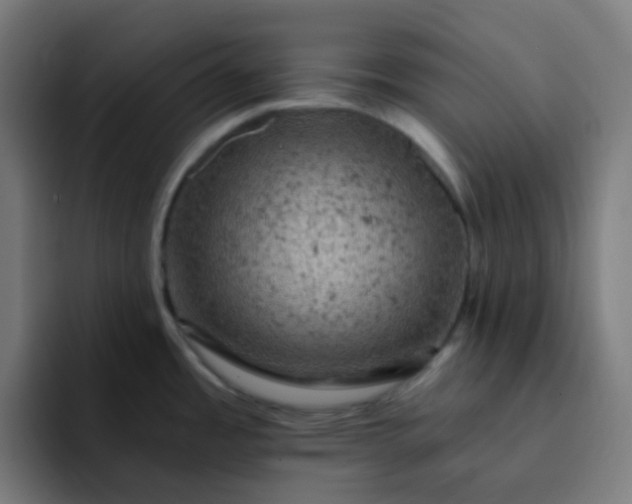 X0000093171485200710101203