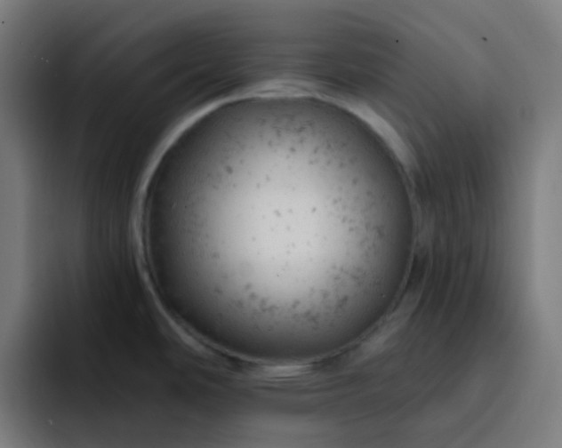 X0000093171486200710101203