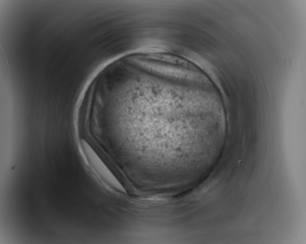 X0000093171488200710101203