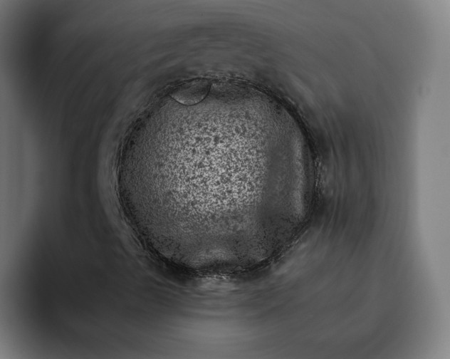 X0000093171489200710101202