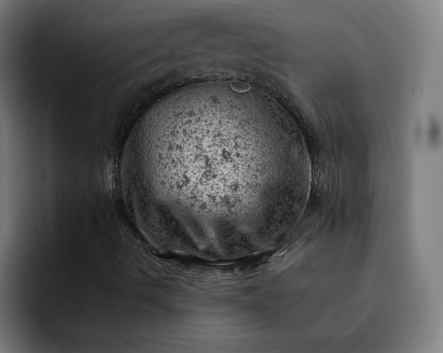 X0000093171490200710101203