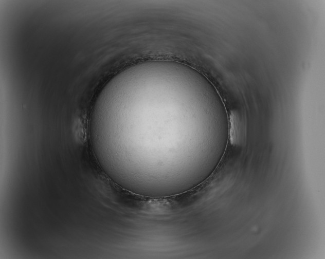 X0000093171491200710101203