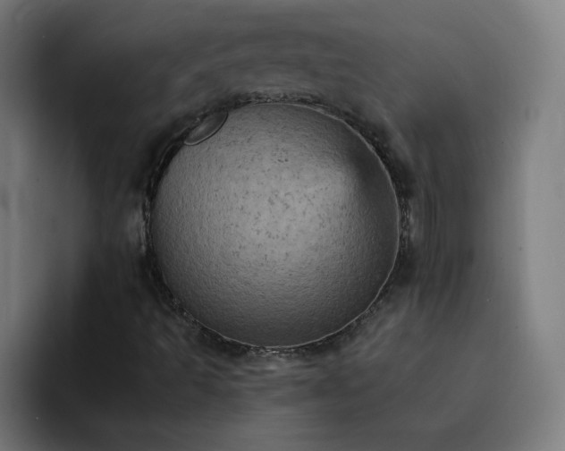 X0000093171493200710101203