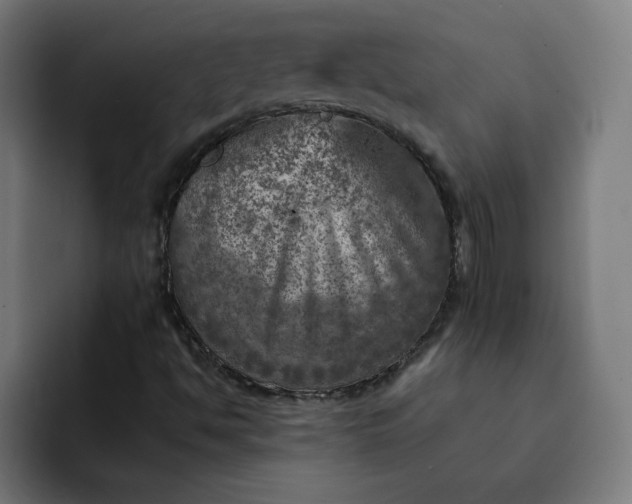 X0000093171494200710101203