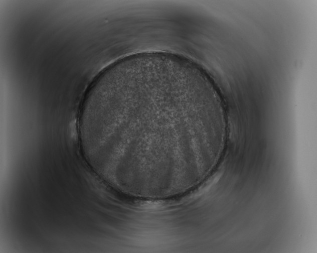 X0000093171497200710101203