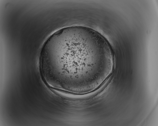 X0000093171500200710101203