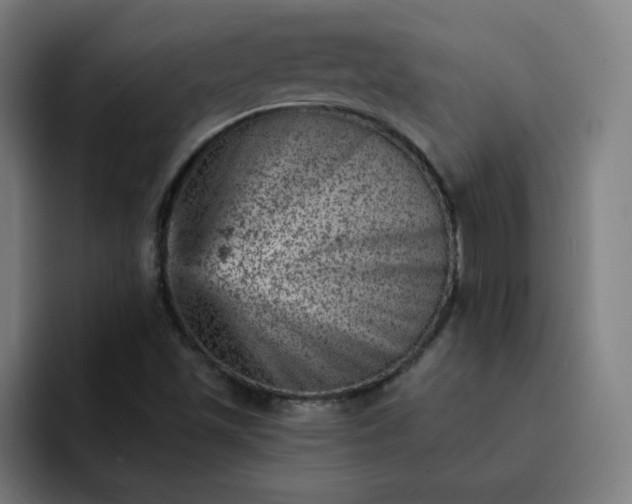 X0000093171501200710101203