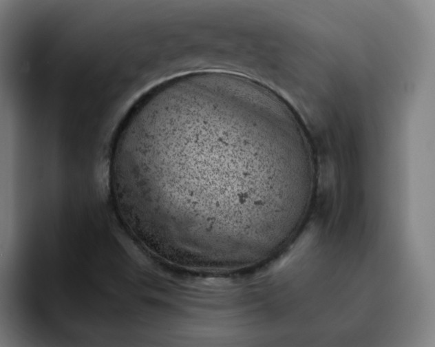 X0000093171503200710101203