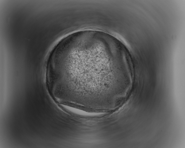 X0000093171504200710101203