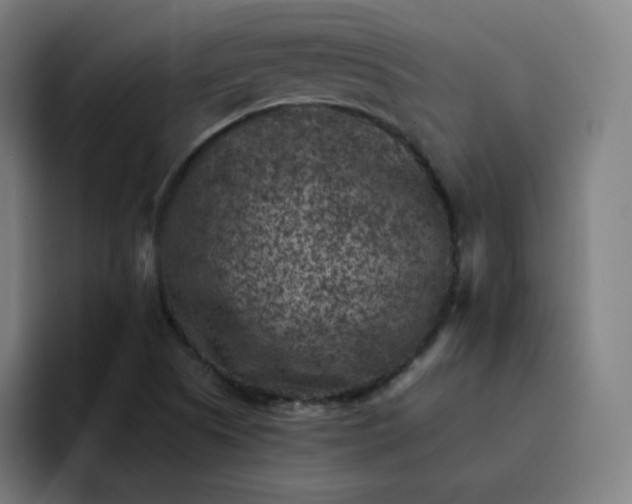 X0000093171505200710101203