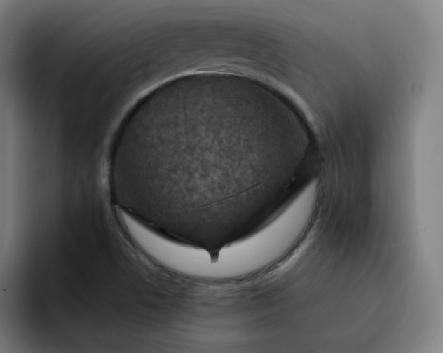 X0000093171506200710101203