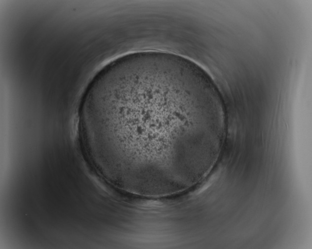 X0000093171507200710101203