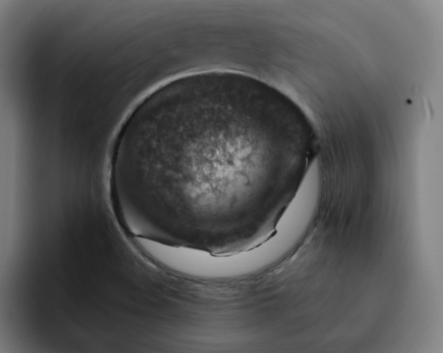 X0000093171508200710101203