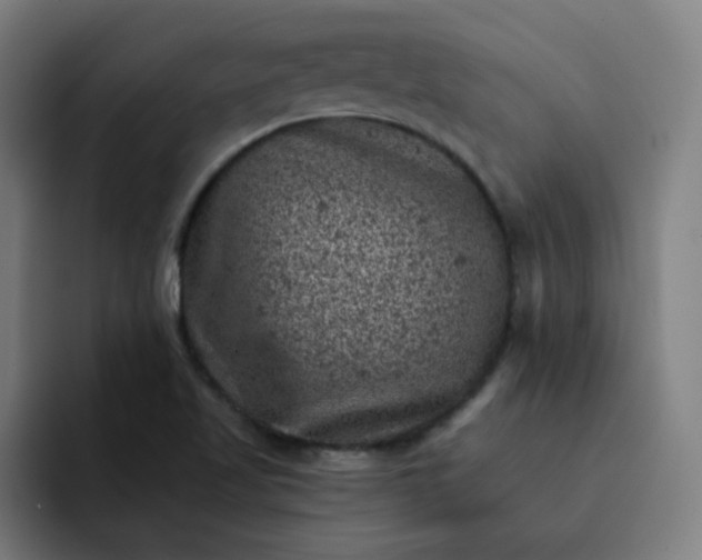 X0000093171509200710101203
