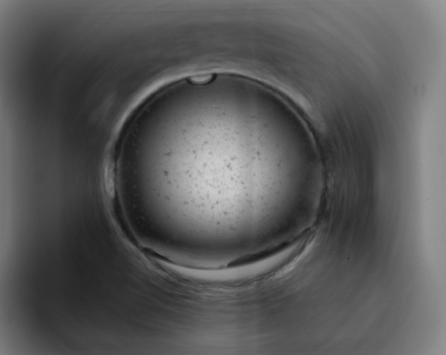 X0000093171510200710101203