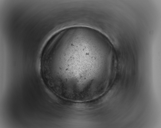X0000093171511200710101203
