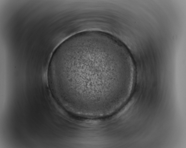 X0000093171513200710101203