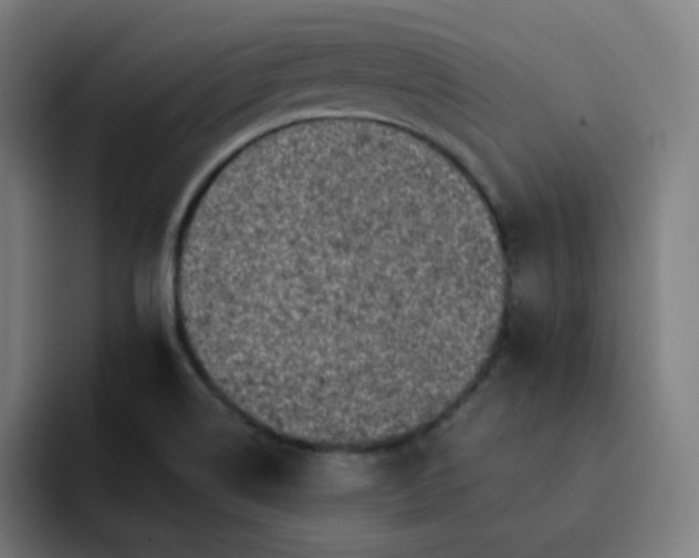 X0000093171514200710101203