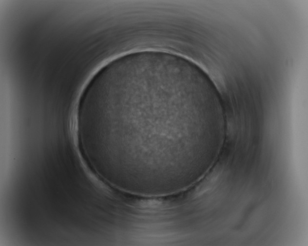 X0000093171515200710101203