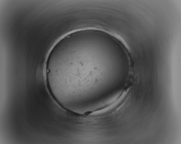 X0000093171516200710101203