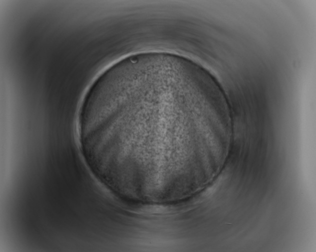 X0000093171517200710101203