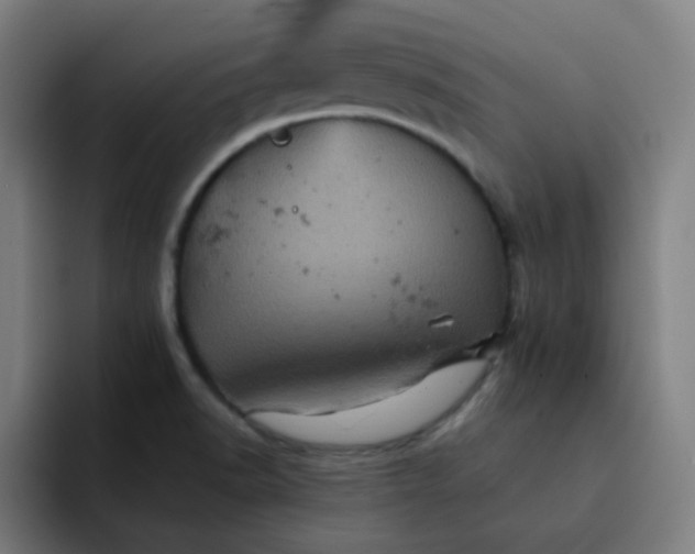 X0000093171518200710101203
