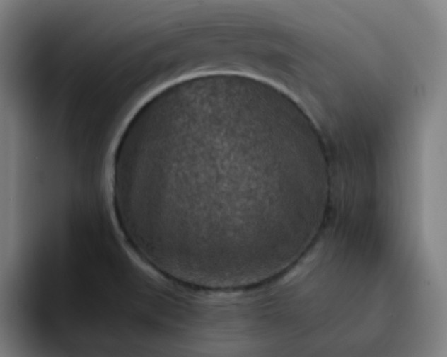 X0000093171519200710101203