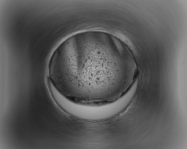 X0000093171520200710101203