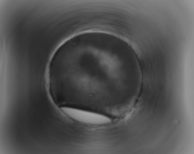 X0000093171522200710101203