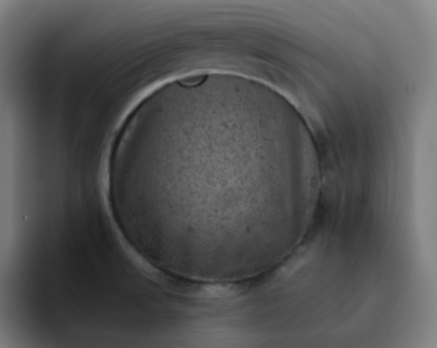 X0000093171523200710101203
