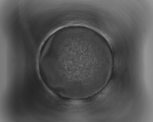 X0000093171525200710101203