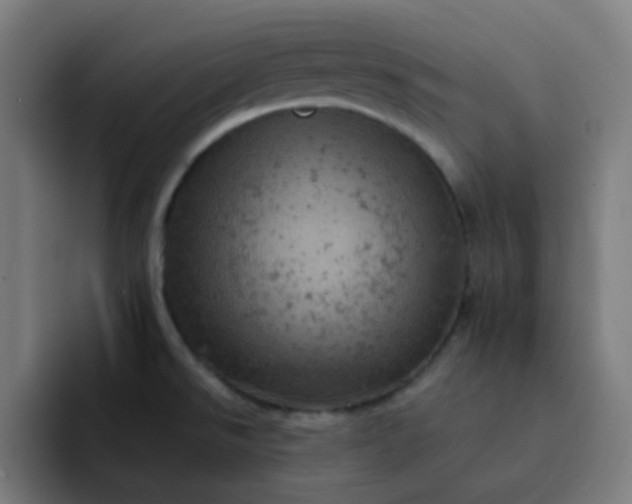 X0000093171526200710101203