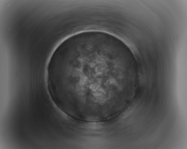 X0000093171527200710101203