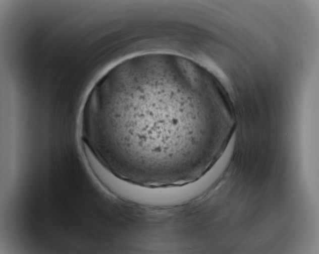 X0000093171528200710101203