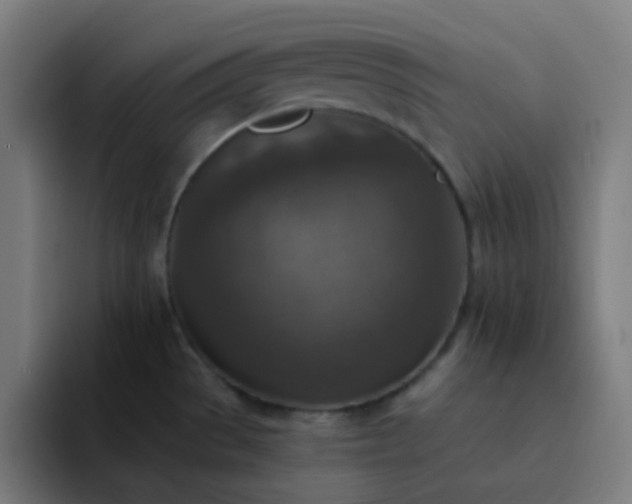 X0000093171529200710101203