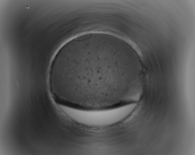 X0000093171530200710101203