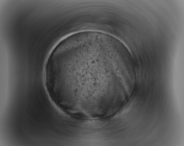 X0000093171531200710101203